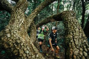 BIB: 
                            <button type="button" onclick="openModal(25393144)" class="btn btn-primary btn-sm float-right btn-popup" data-toggle="modal" data-target=".modal-high-quality">
                        <i class="fas fa-shopping-cart"></i> Add to Cart
                    </button>
                                            <button type="button" onclick="isThisMe(25393144, true)" class="btn btn-success btn-sm float-right btn-popup btn-isme hidden" data-toggle="tooltip" data-placement="bottom" title="นี่คือรูปของคุณใช่ไหม คลิกที่นี่เพื่อเอาเข้าอัลบั้ม">
                        <i class="fas fa-plus"></i> Add to album
                    </button>
                    <button type="button" onclick="isThisMe(25393144, false)" class="btn btn-warning btn-sm float-right btn-popup btn-isnotme hidden">
                        <i class="fas fa-ban"></i> Remove from album
                    </button>